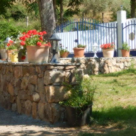 Ernella Otel Aléria Dış mekan fotoğraf